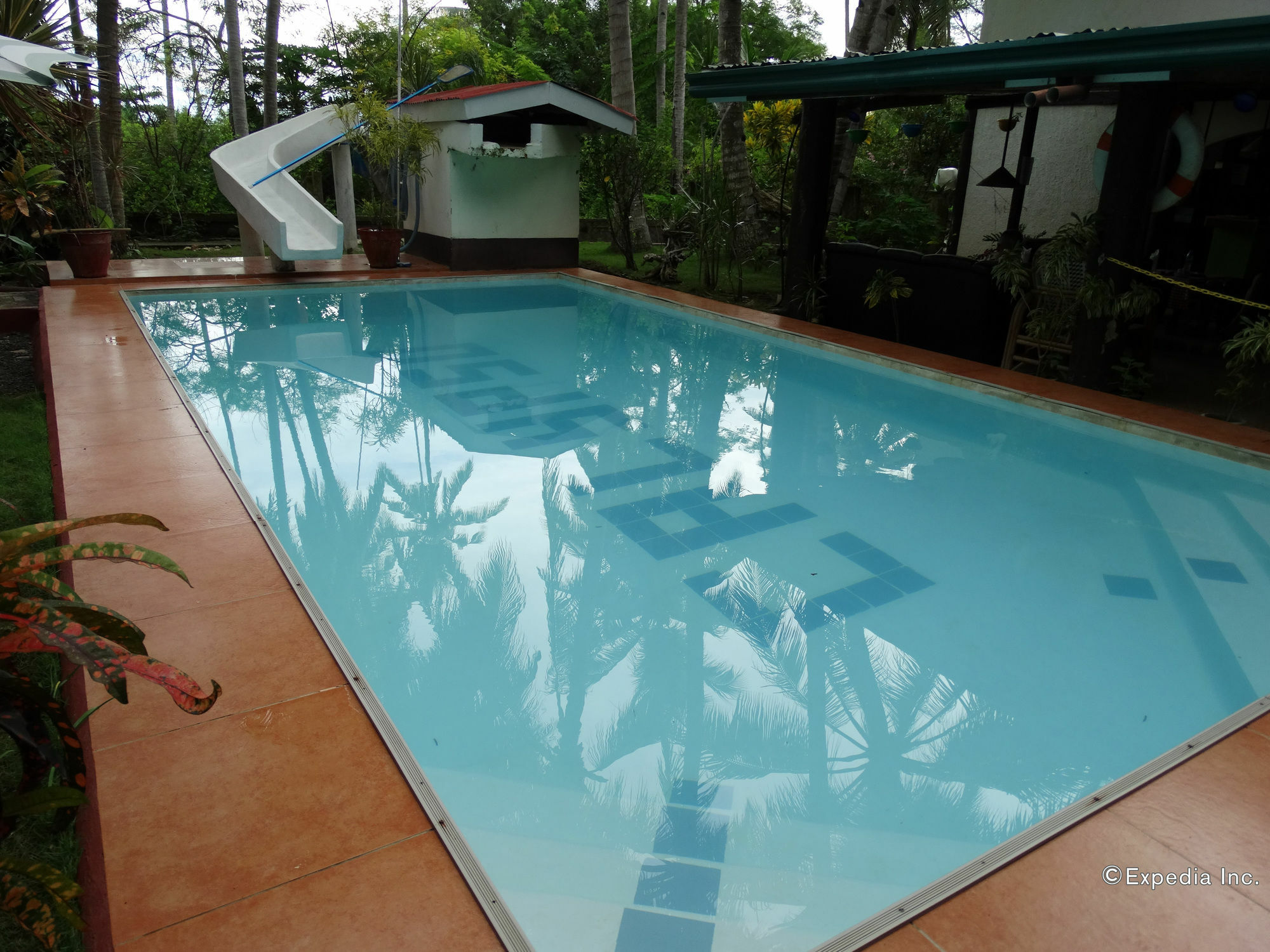 Calypso Resort Panglao Extérieur photo