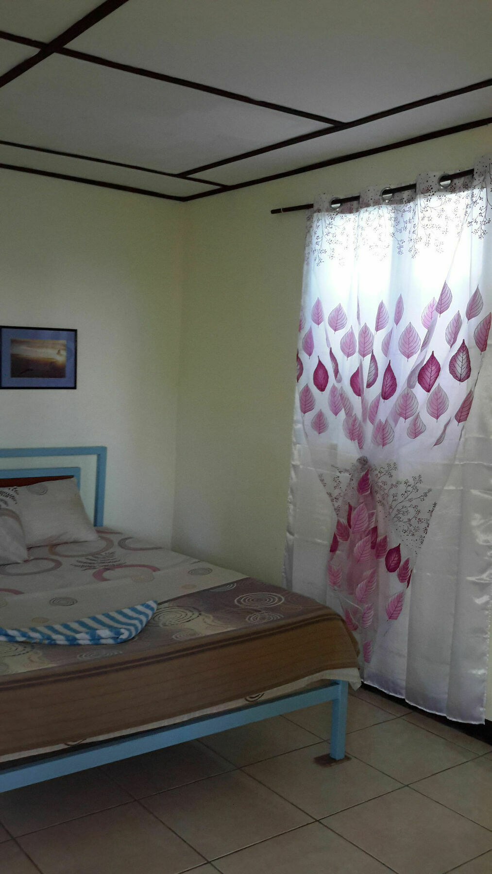 Calypso Resort Panglao Extérieur photo
