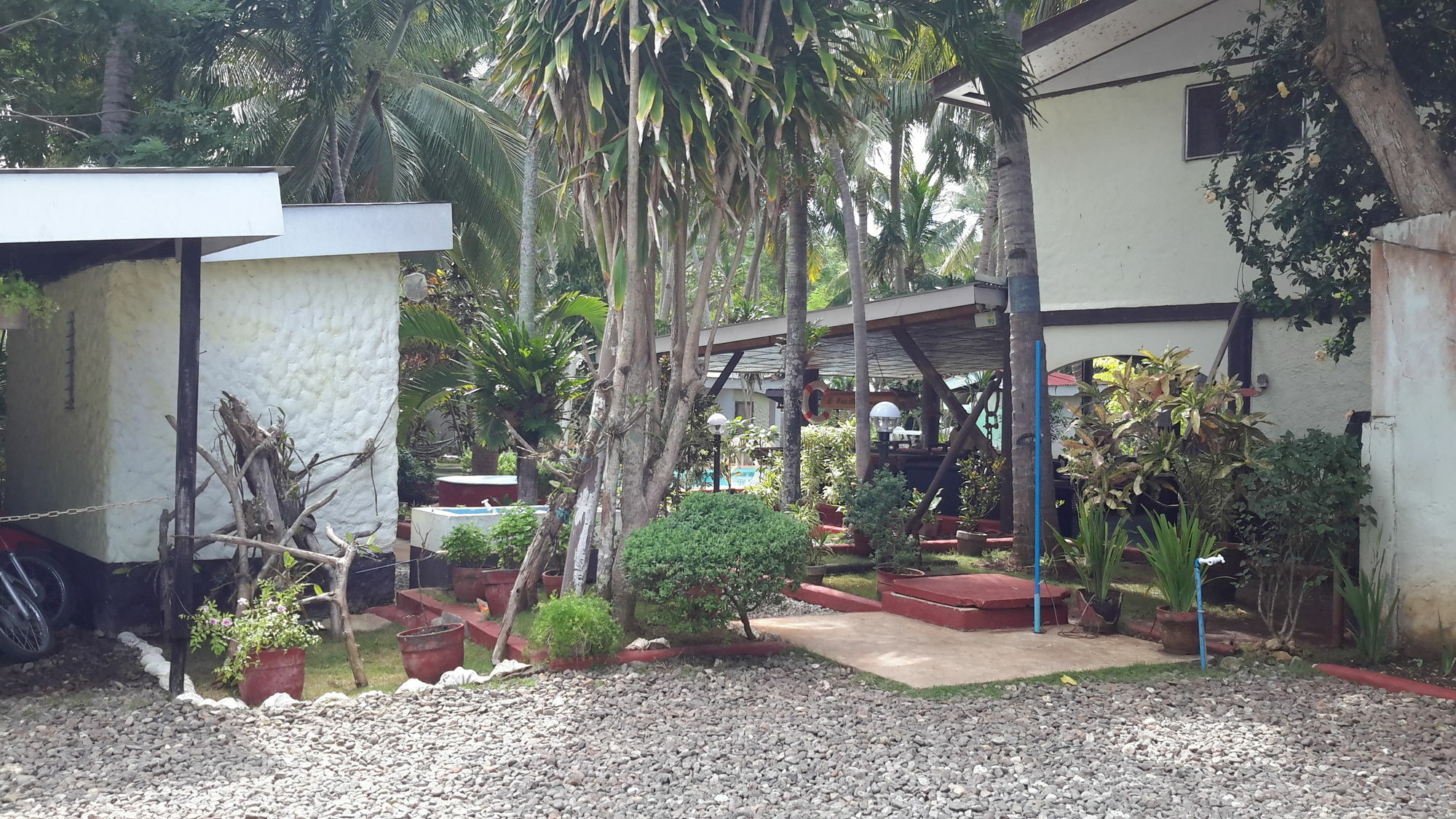 Calypso Resort Panglao Extérieur photo